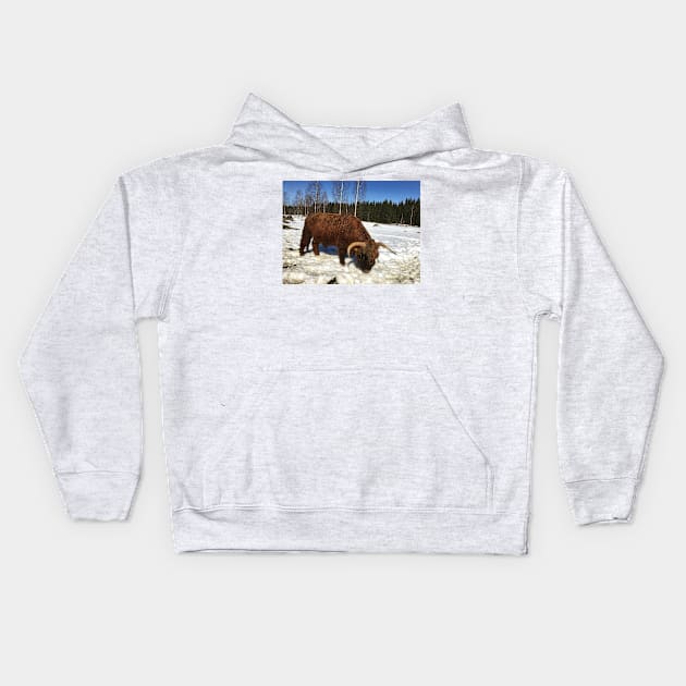 Scottish Highland Cattle Bull 1736 Kids Hoodie by SaarelaHighland